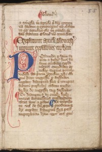 Magna Carta and Lincolnshire Libraries